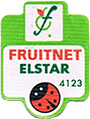 Elstar Large