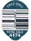 Royal Gala Large