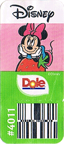 Cavendish Extra Large