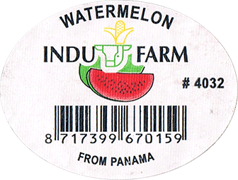 Watermelon Regular, Seedless