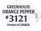 Greenhouse Orange