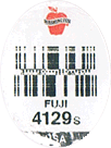 Fuji Medium