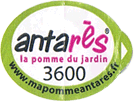 Antares apple