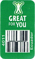 Cavendish Extra Large