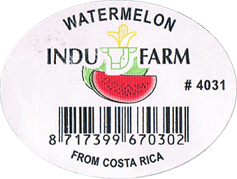 Watermelon Regular