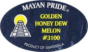 Melon Honeydew Orange/Gold