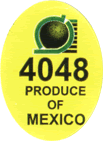 Lime Regular