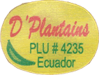 Plantain/Macho