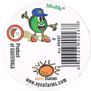 Watermelon Seedless Mini