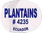 Plantain/Macho