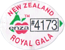 Royal Gala Medium