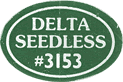 Orange Delta Seedless<br>Medium