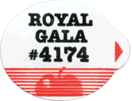 Royal Gala Large
