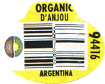 D'Anjou Large Organic