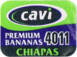 Cavendish Extra Large