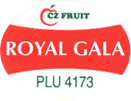 Royal Gala Medium