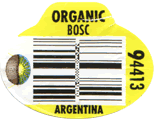 Beurre Bosc Large Organic