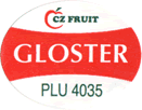 Gloster