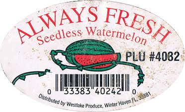 Watermelon Regular, Seedless