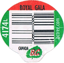 Royal Gala Large