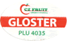 Gloster