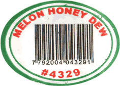 Melon Honeydew/<br>White Honeydew Medium