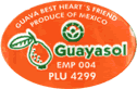 Guava