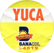 Yuca