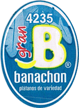Plantain/Macho