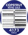 Royal Gala Medium