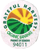 Cavendish<br>Extra Large Organic