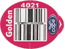 Golden Delicious<br>Medium West
