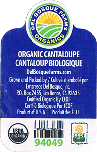 Melon Rockmelon/Canteloupe<br>Medium Organic
