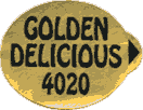 Golden Delicious<br>Large West