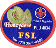 Melon Honeydew/White Honeydew<br>Large
