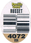 Potatoes Russet Burbank
