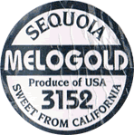Grapefruit Melogold