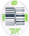 Royal Gala Medium