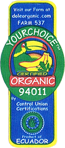 Cavendish<br>Extra Large Organic