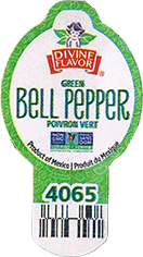 Capsicum<br>Bell Green Large