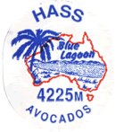 Hass Medium West