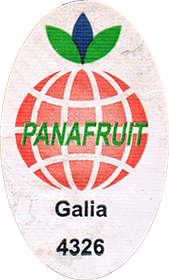 Melon Galia