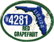 Grapefruit Red Large East