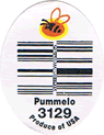 Pomelo Red Large