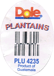 Plantain/Macho