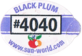 Black Large