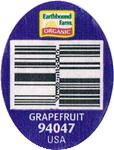 Grapefruit Ruby Red/Pink/Blush<br>Small Organic