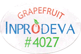 Grapefruit<br>Red/Pink Small East
