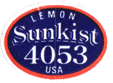 Lemon Large