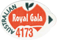 Royal Gala Medium